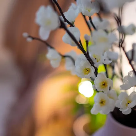 House Apartment Bucharest