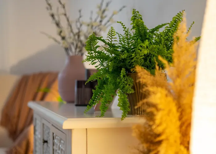 House ブカレスト