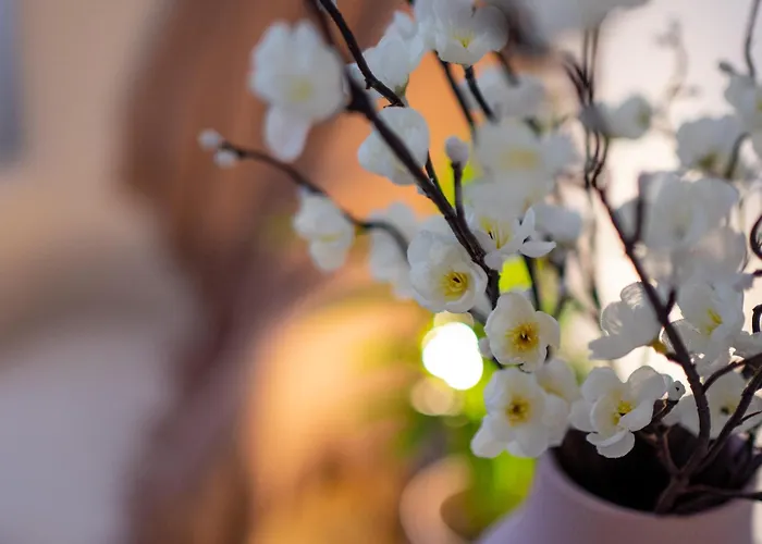 House Apartamento Bucareste