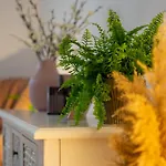 House Bucureşti